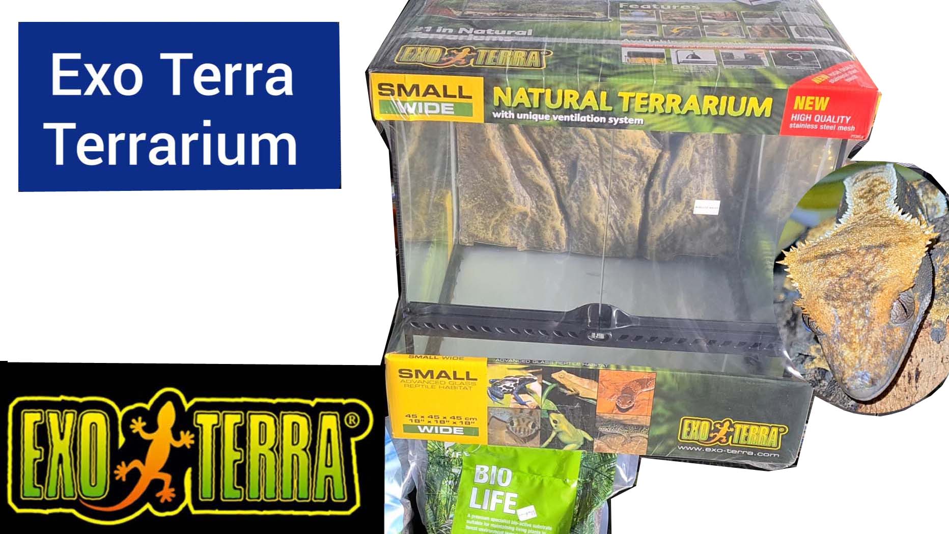 Exo Terra Terrarium 45 x 54 cm small Bio substrate Hydro balls tropical soil. Wayne's TerraWorld