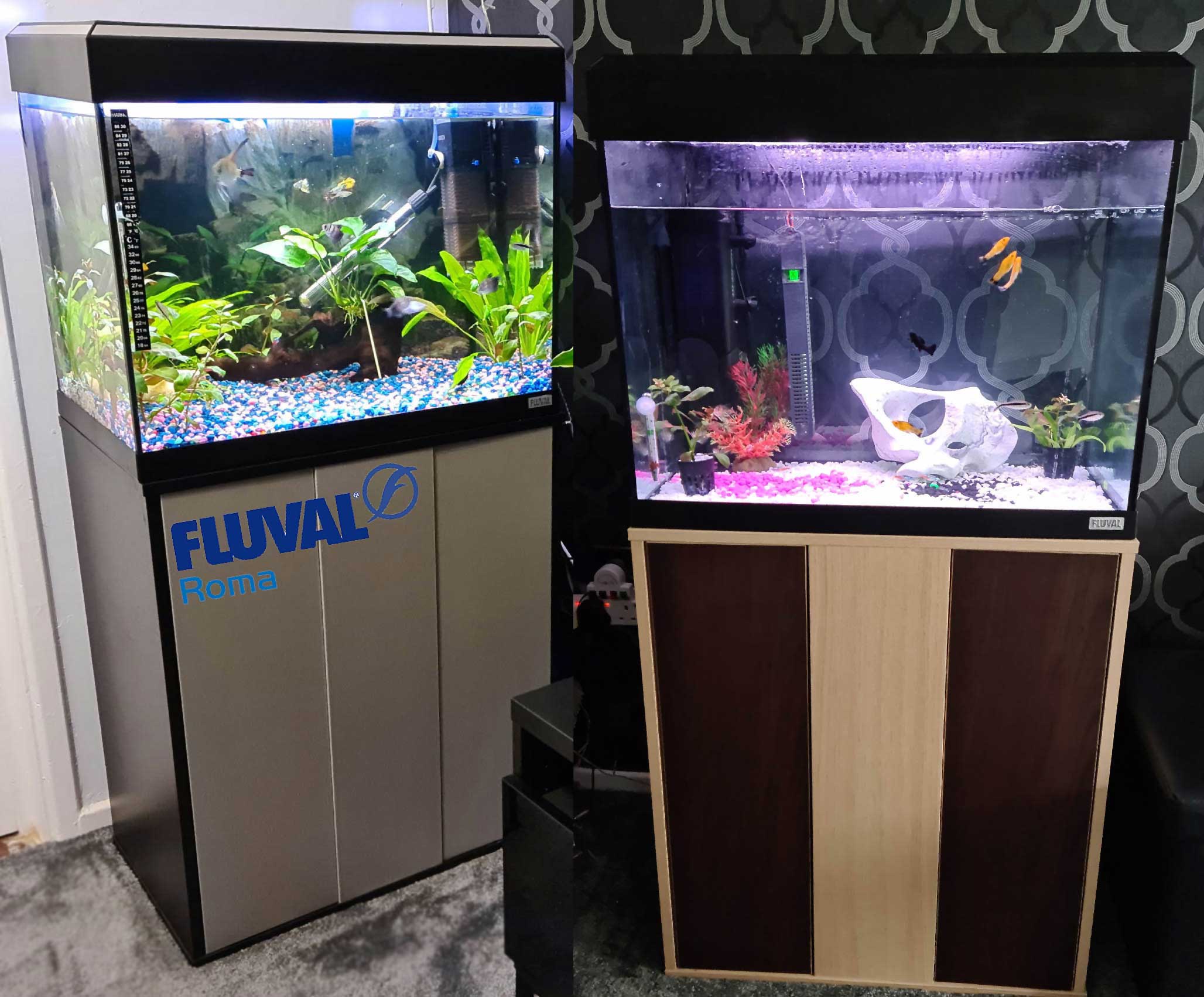 FLUVAL ROMA 90 Tropical Aquarium Fish Tank and cabinet. Wayne's AquaWorld