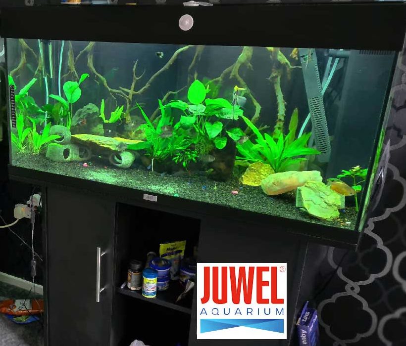 Jewel RIO 180 aquarium