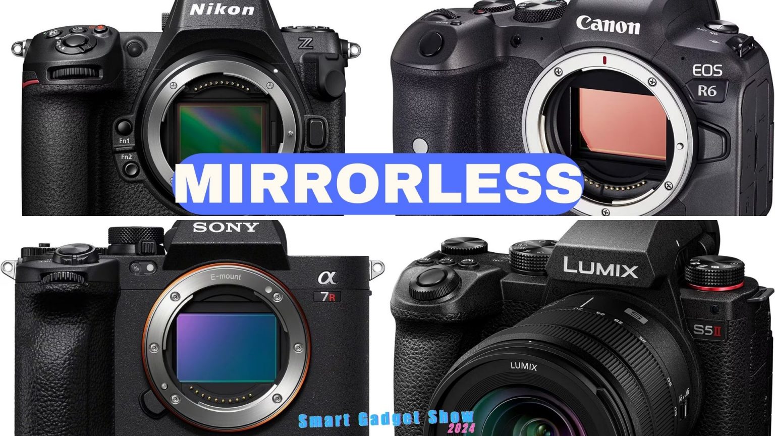 Compare mirrorless Camera Technology 2024